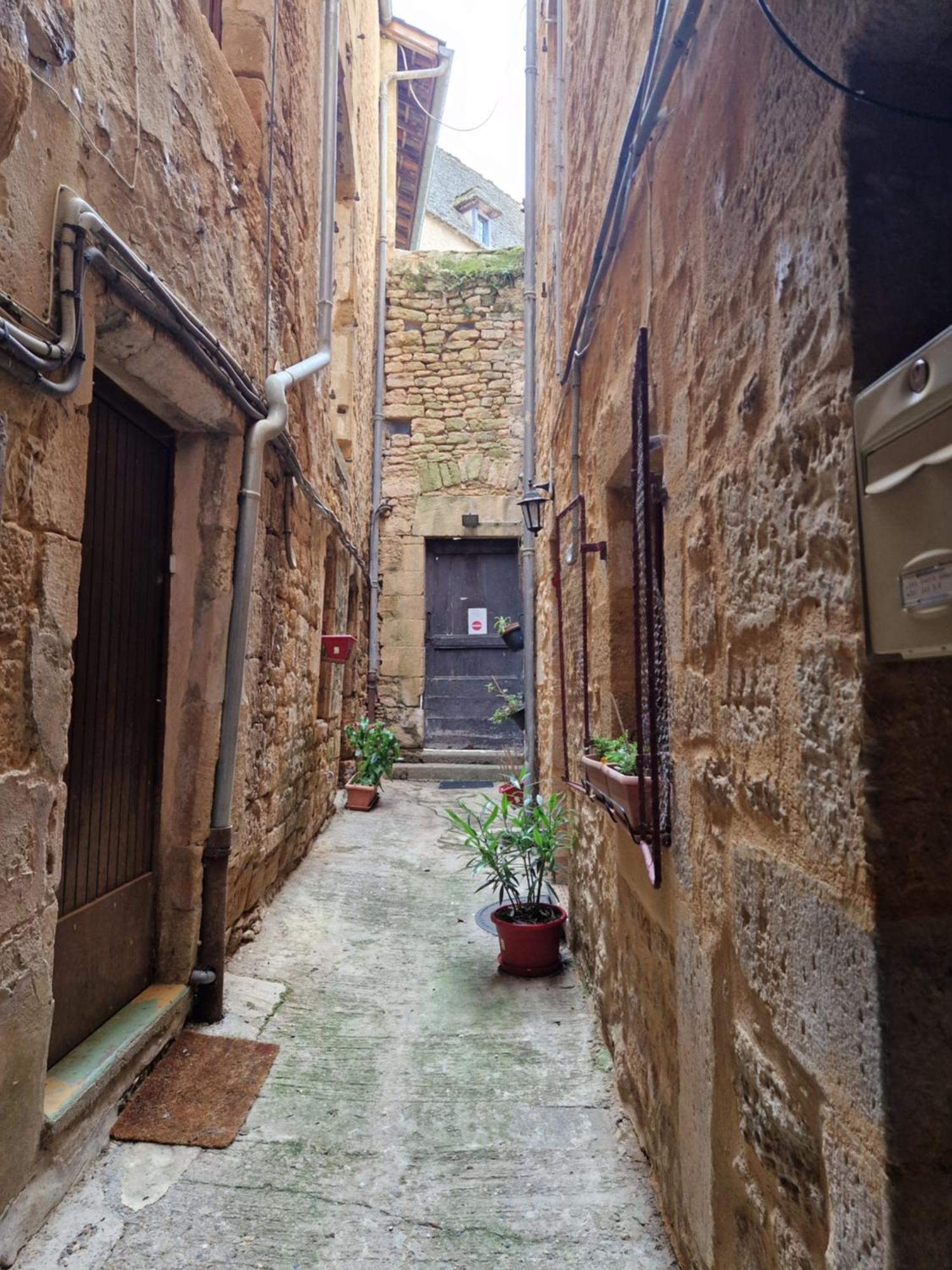Ferienwohnung Les Flamboyants Sarlat Exterior foto
